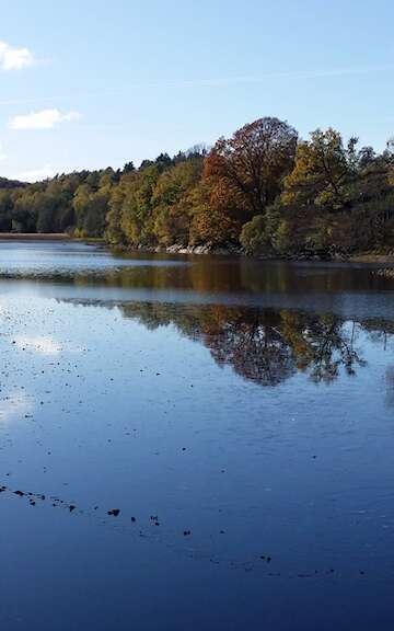 Circuit de randonnée : autour des étangs