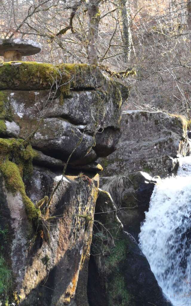 Circuit Pédestre N°67 : "Sentier de découverte de la cascade des Jarrauds"
