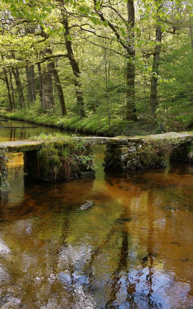 Circuit Pédestre N°53 : "La vallée de la Maulde"