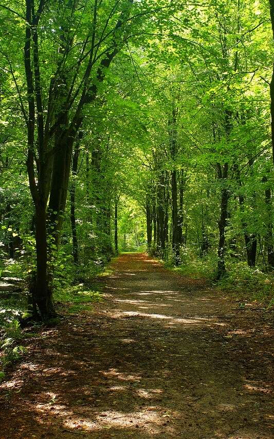 Circuit de randonnée : Petites rues et vieux chemins