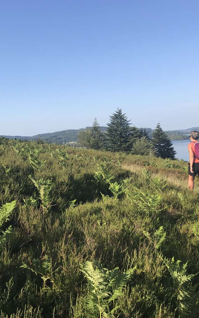 Tour du lac de Vassivière, "Sentier de rives"