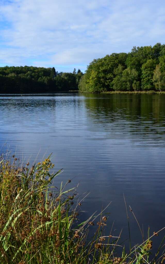 Circuit Pédestre N°11 L'étang du Moulin du Donzeil