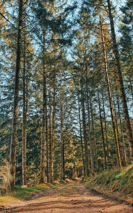 Nature et Panoramas sur le lac