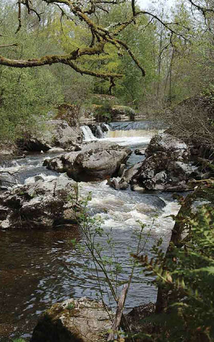 Circuit Pédestre N°36 CC : "Thauron par la Face Sud"