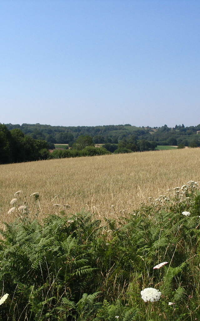 Variante 1 Sentier aux sources de la Gorre
