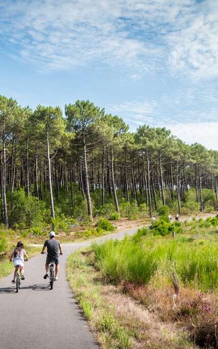 Vélodyssée - Piste cyclable de la Côte