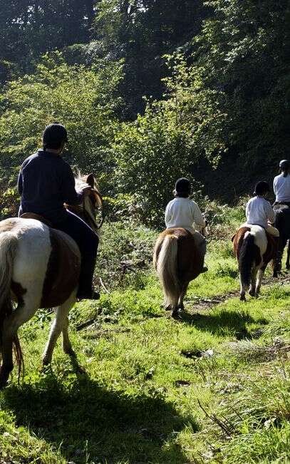 Le Circuit des Tourbières