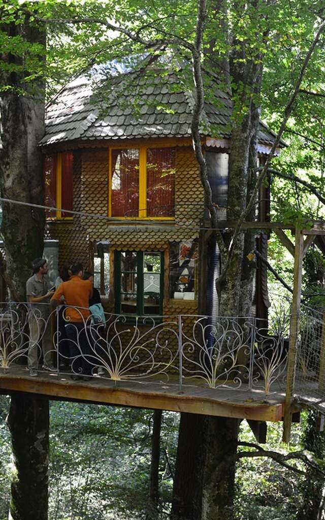 EcoSource Arboricole : La Mère