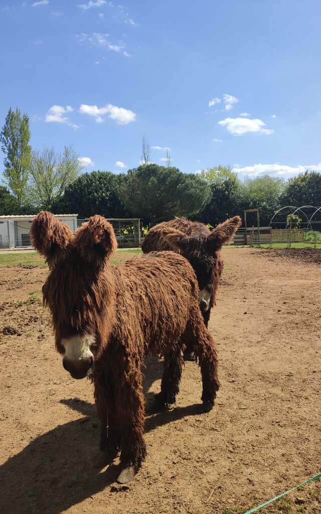 Parc-Elevage Del Sol