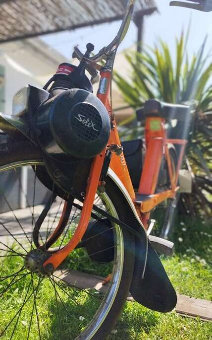 JVDS - J'veux du Solex