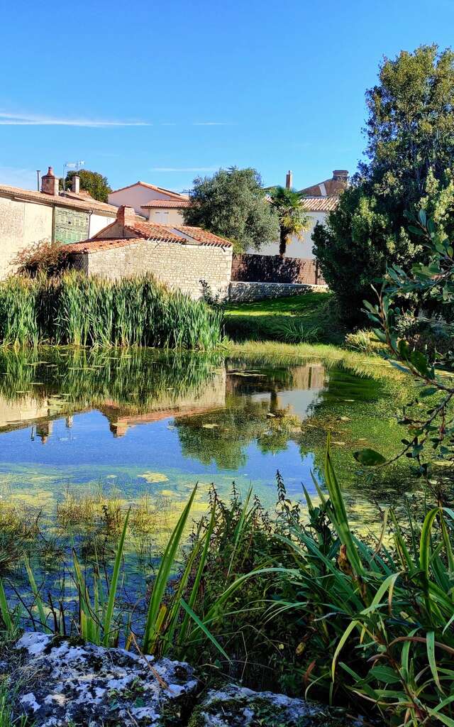 Parcours découverte : Tressauve