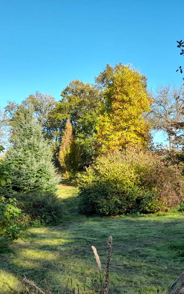 Arboretum du Lys