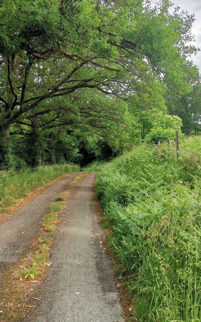 Boucle Locale N°50 Saint Dizier Leyrenne et la vallée du Thaurion
