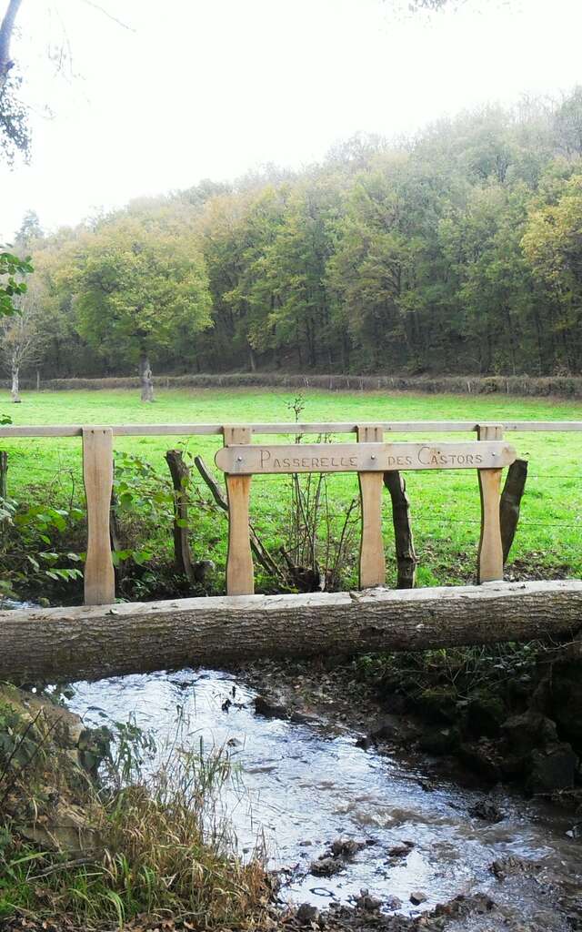 Circuit de randonnée : Circuit de la Pampeluze