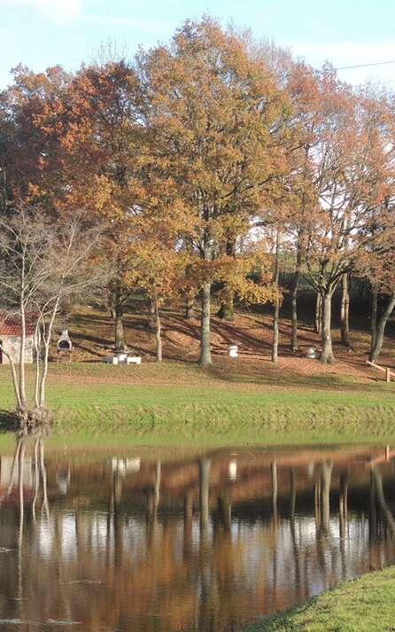 Etang Giraud