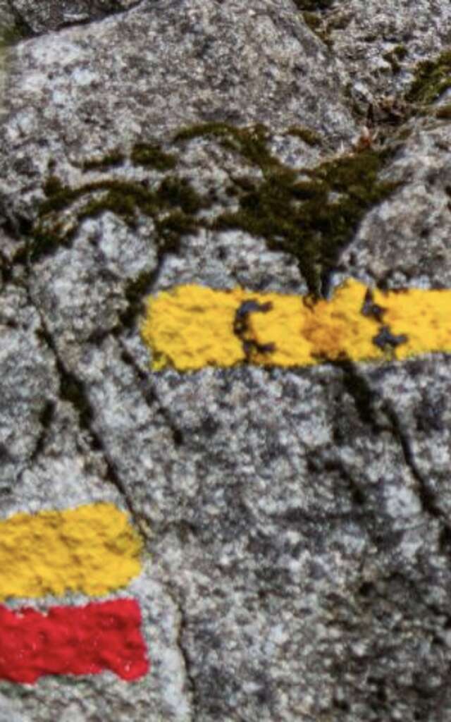 GRP® - Boucle du Franc Alleu - Etape 2 - De Champagnat à Peyrat la Nonière