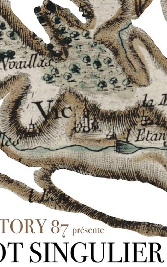 Exposition : Ilôt Singulier du Collectif FACTORY 87