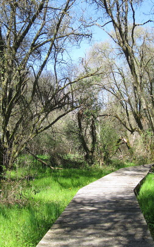 Sentier de la Mazelle