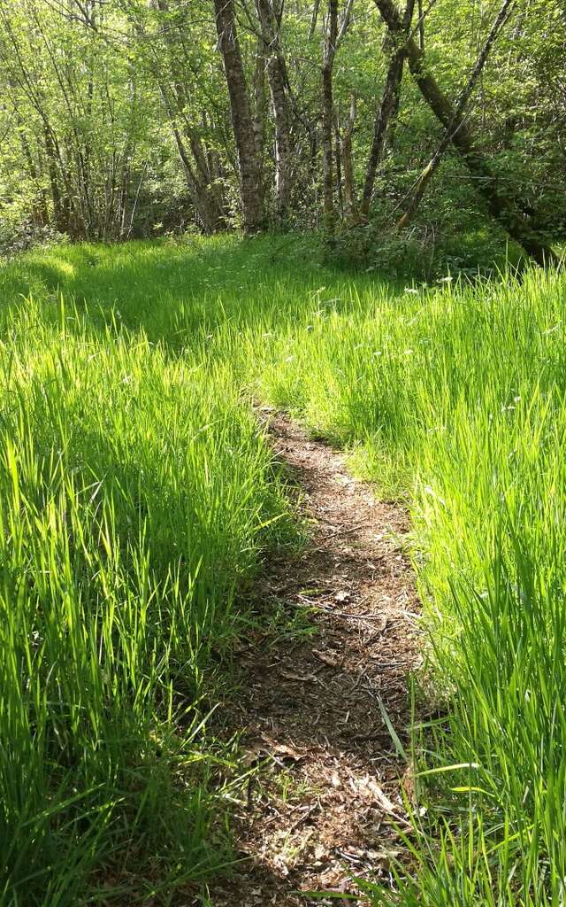 Circuit Pédestre N°45 : "Sentier Le Bois des Boeufs"