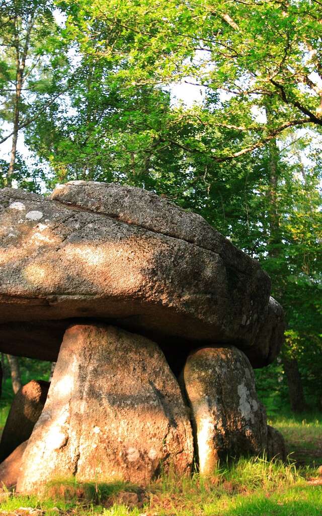 Circuit de randonnée : De dolmen en Donjon