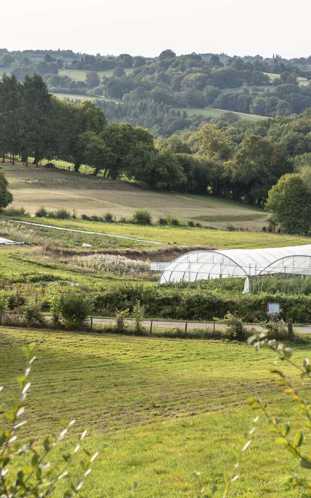 Graine de jardinier
