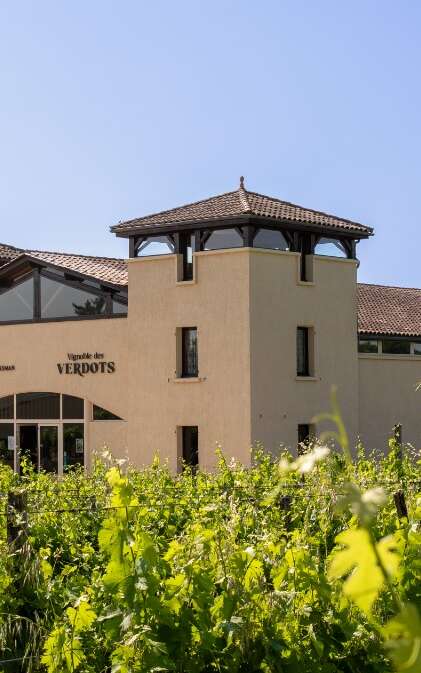 Vignoble des Verdots