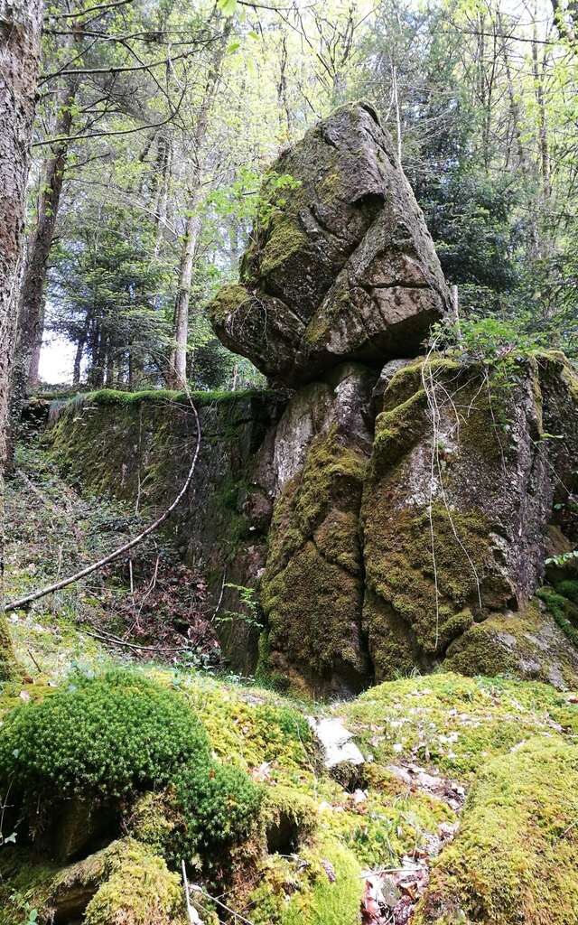 Circuit Pédestre N°59 CC : "La Roche branlante"