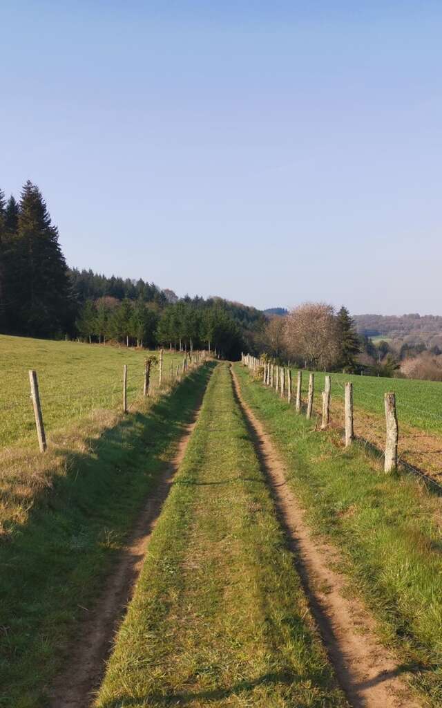 Circuit N°63 CC : Sentier "Histoire et Patrimoine"