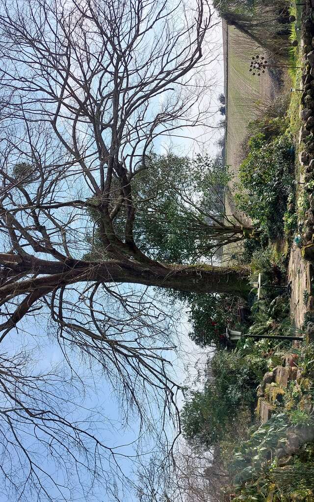Découverte du Jardin de Termi avec Isidra