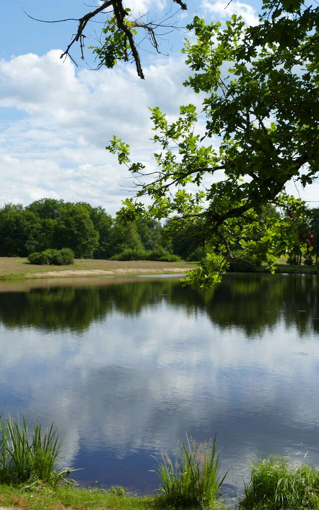 Etang de Chaux