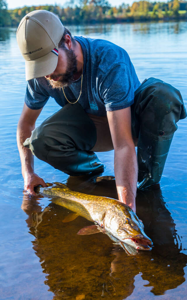 Pêche aux carnassier : Lacustra