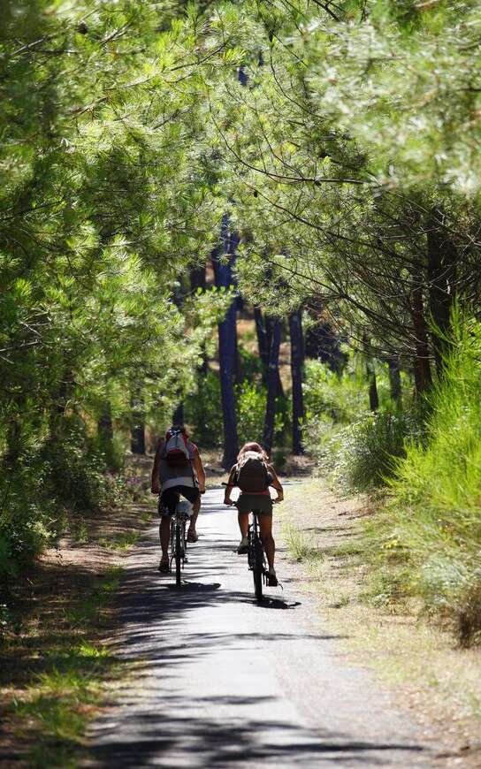 Piste cyclable Pontenx les Forges - Mimizan Plage