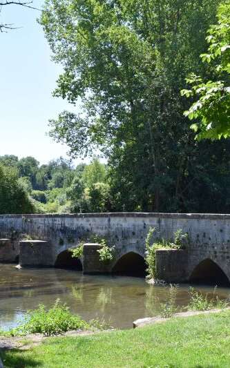 Randonnée en Val de Sèvre