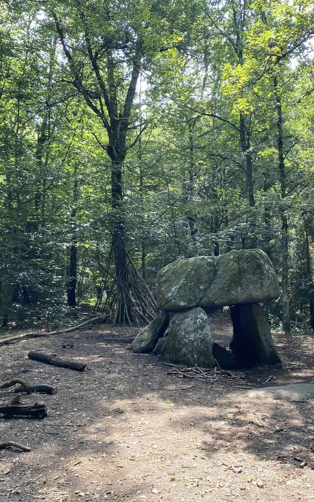 Crocq (Dolmen d'Urbe) : Aire de pique-nique