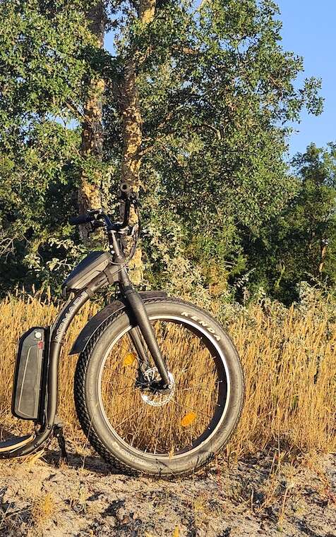 Découvrez Pontenx en côtoyant les eucalyptus, chênes et pins maritime tout en longeant le courant des Forges.