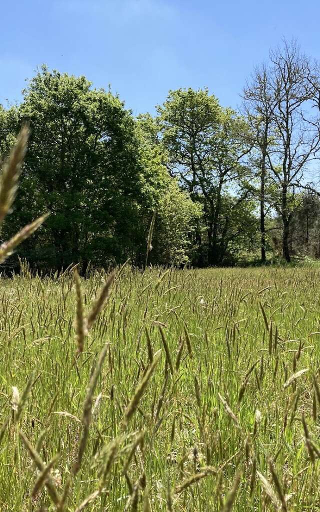 Découverte du milieu naturel de Bouricos