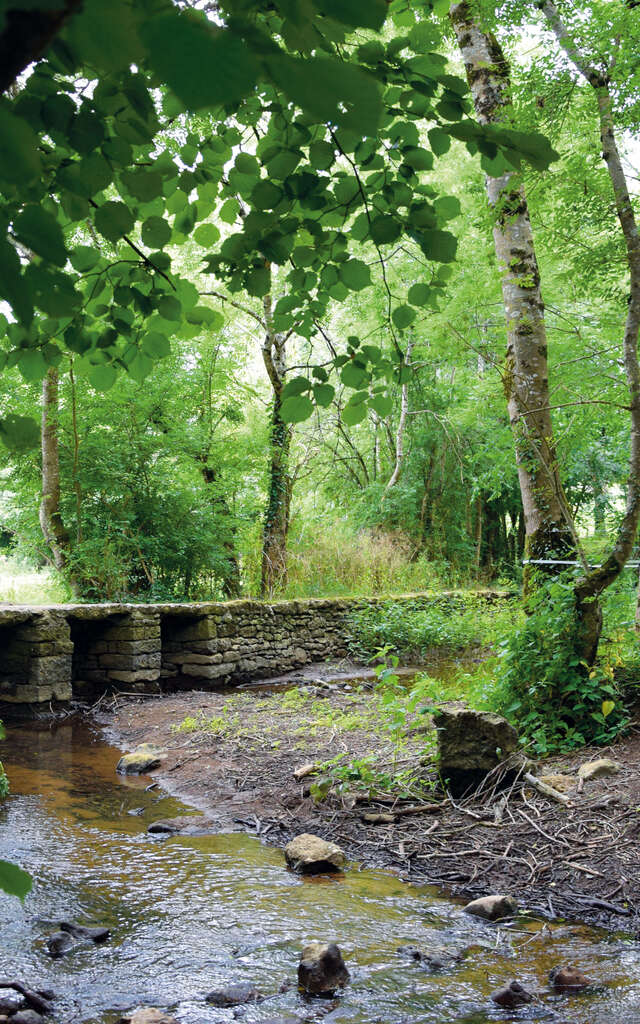 Parcours découverte : Bougouin