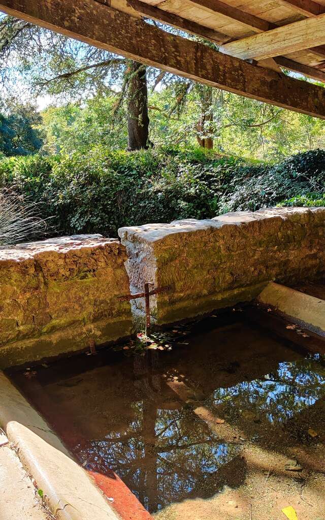 Parcours découverte : Creuse Saint-Carlais (chemin de trail)