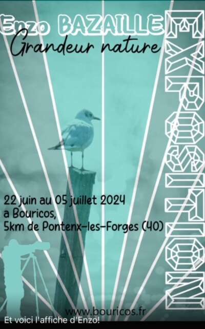 exposition photos