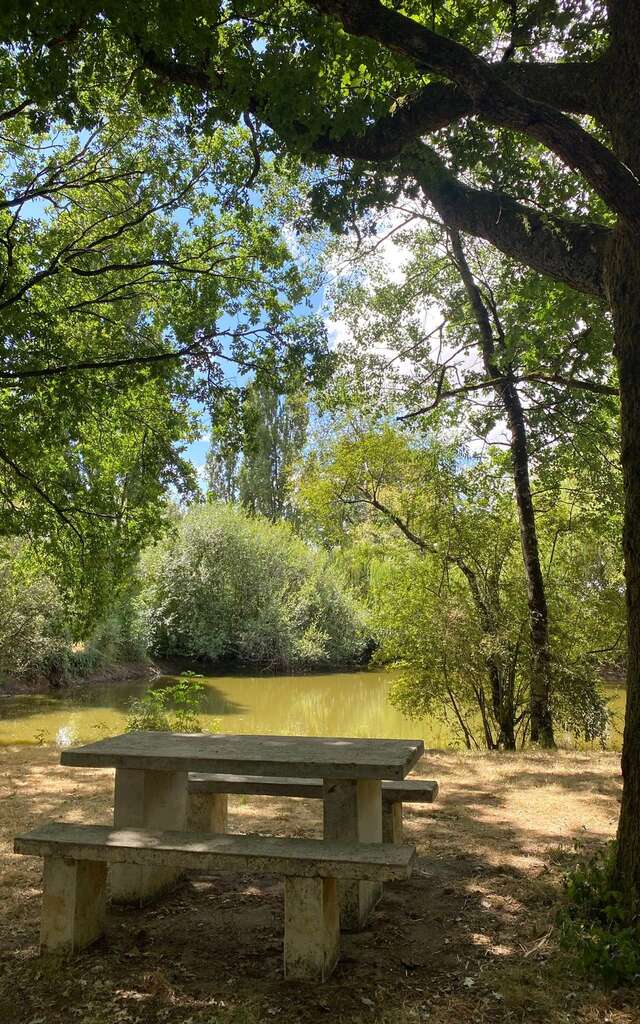 Aire de Pique-Nique - Mare des Gasses