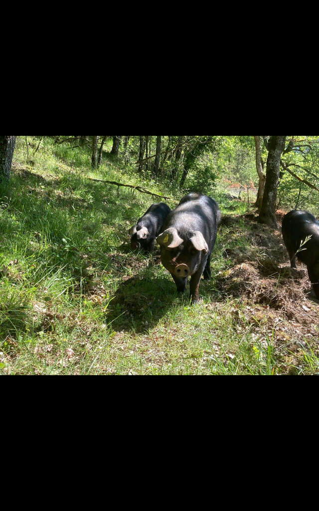 Ferme La Massinie