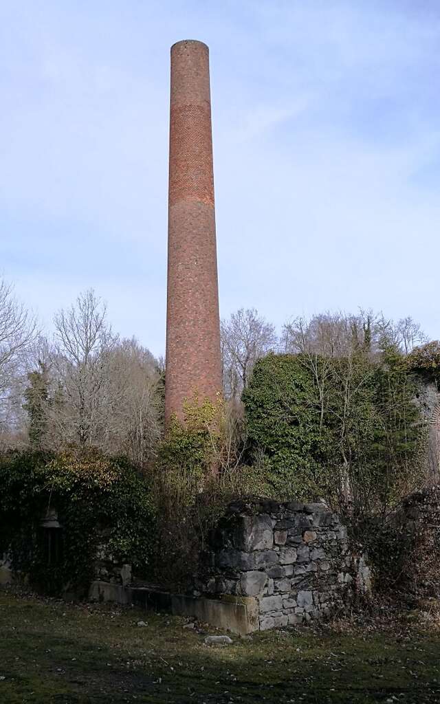 Circuit Pédestre N° 46 : "Les chemins de la Mine : boucle 6 km"