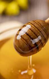 Le miel, des goûts et des couleurs