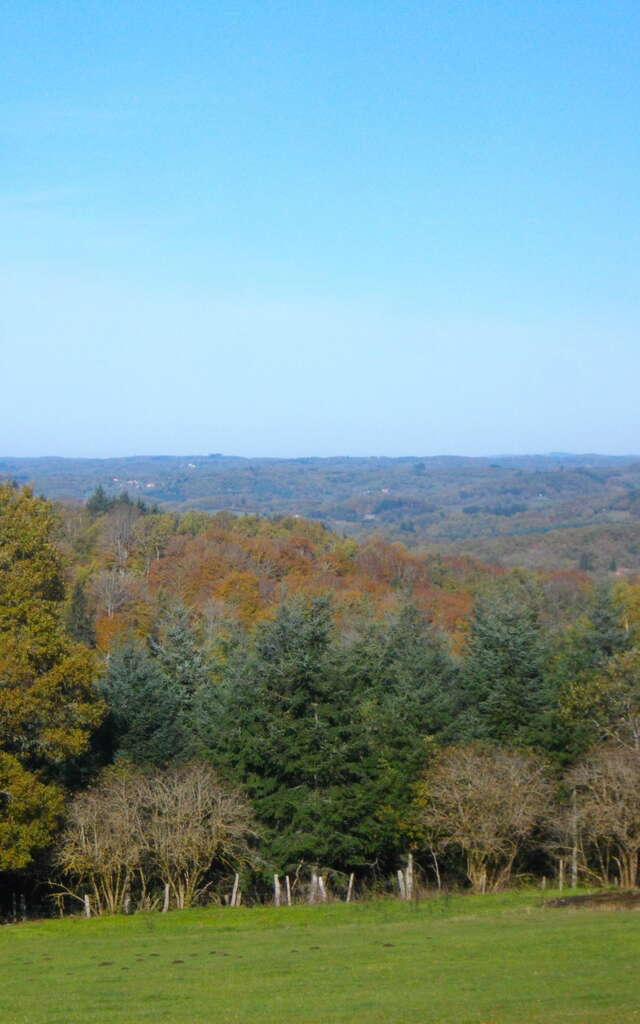 Vieilles demeures - 6 km