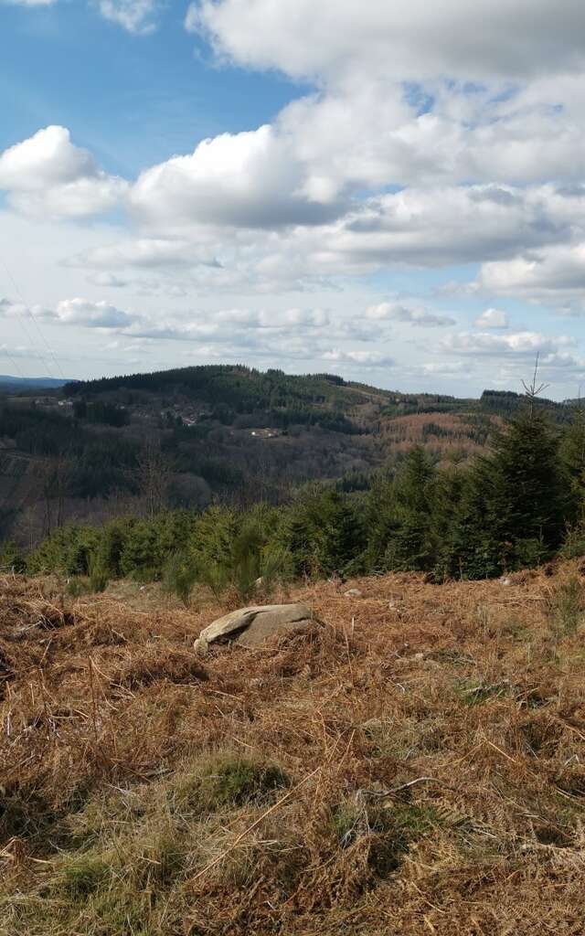 Circuit Pédestre N°57 : "Le Puy de Pétru"