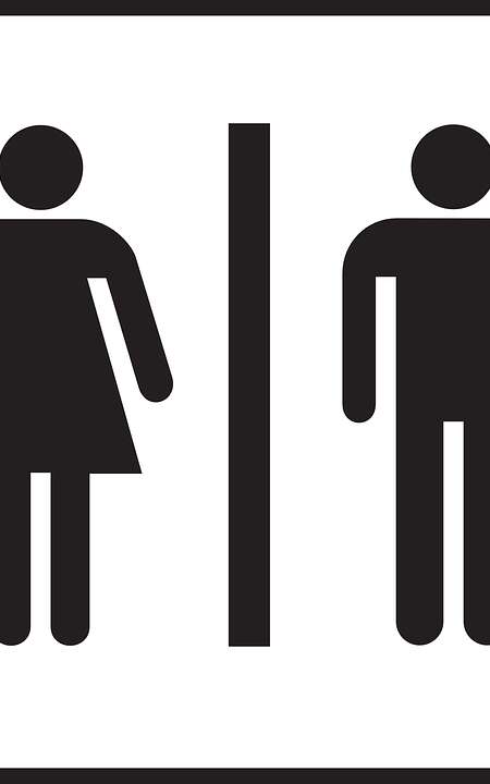 Crocq (Halle) : Toilettes publiques