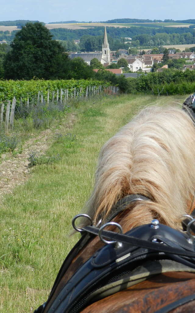 Les Caves aux Caux - Vins Creuzet