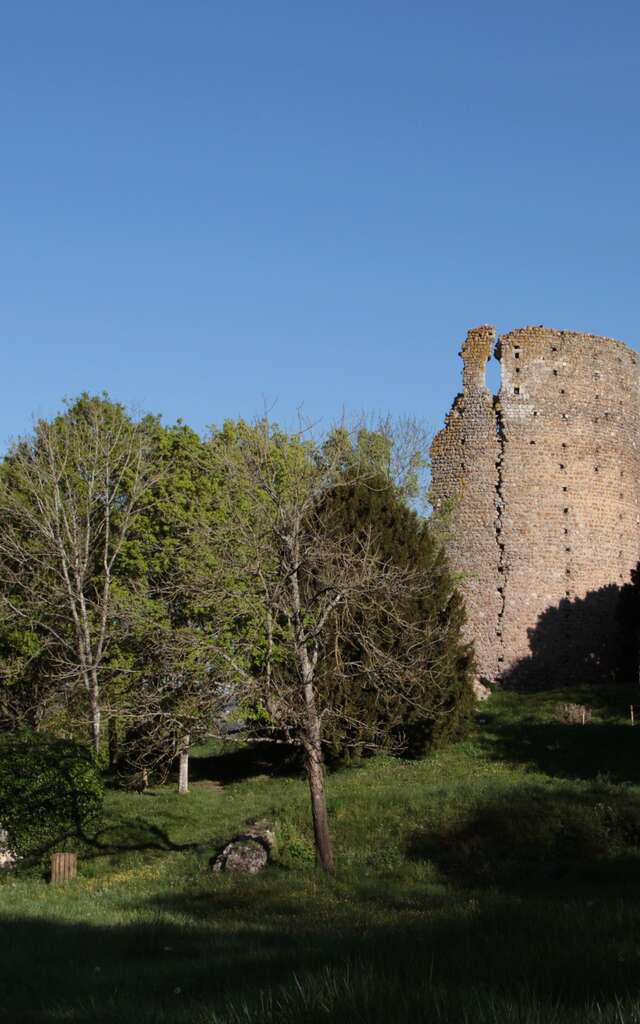 Château féodal de Fréteval