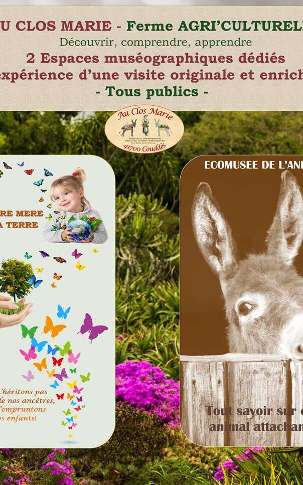 Au Clos Marie - Ecomusée de l'âne et  
