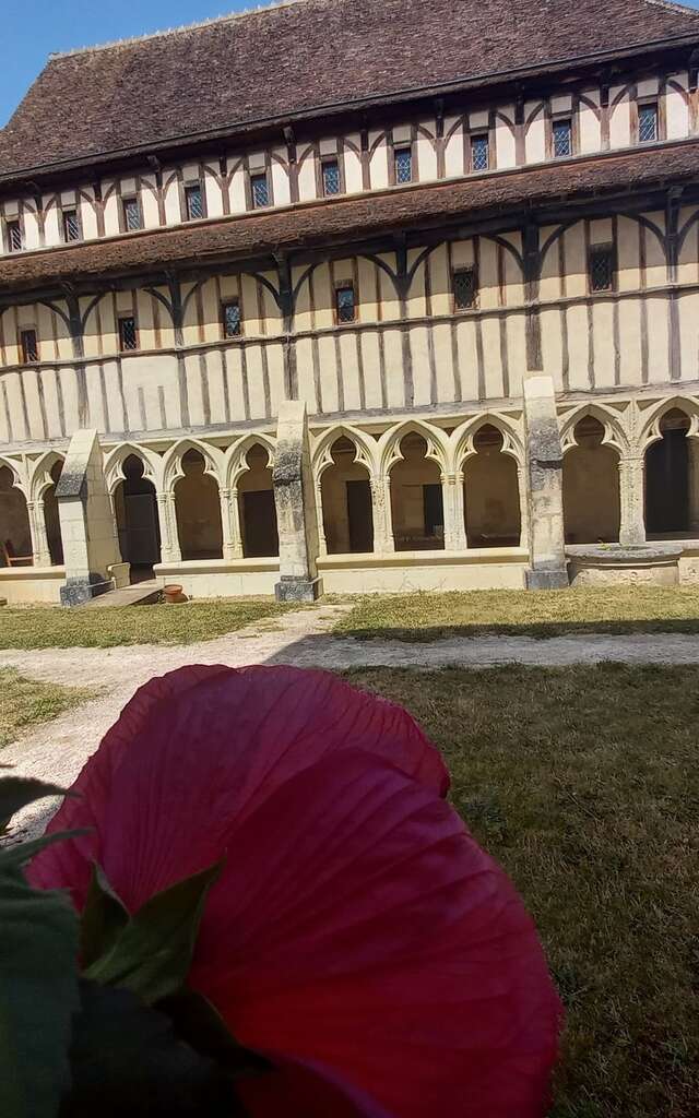 Visite de la ville de Montoire